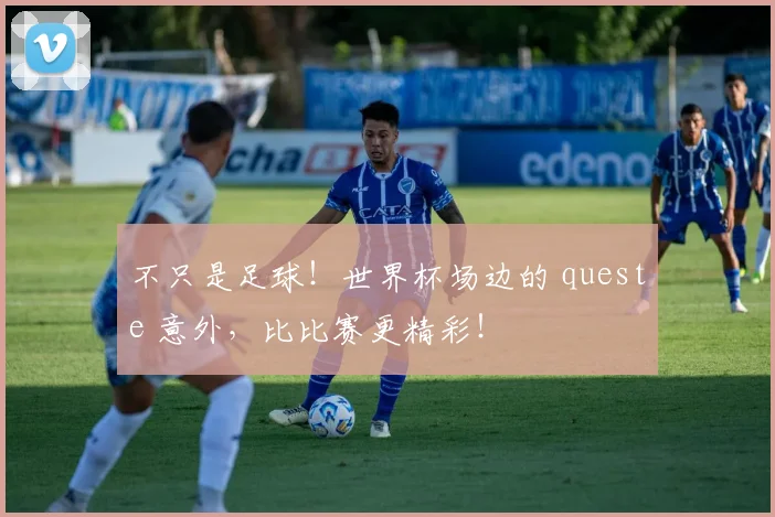 不只是足球！世界杯场边的 queste 意外，比比赛更精彩！