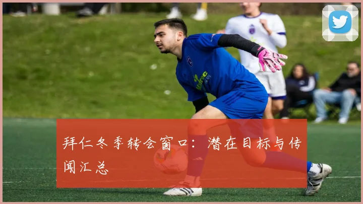 拜仁冬季转会窗口：潜在目标与传闻汇总