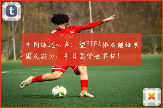 中国球迷心声：望FIFA排名能证明国足实力，早日圆梦世界杯！
